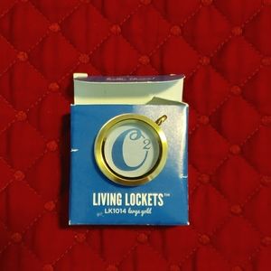 Origami Owl Living Locket